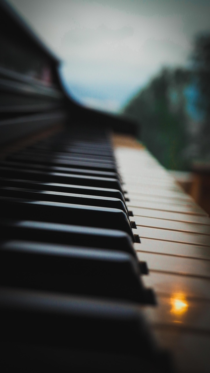 piano, nature, close up, music, musical instrument