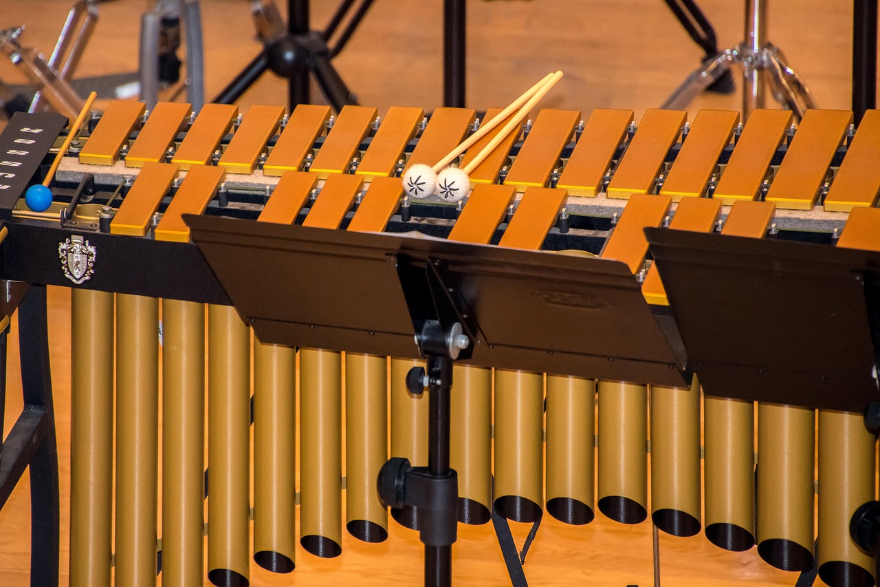 music, concert, music sheet, band, musician, instruments, entertainment, celebration, sound, fun, orchestra, audience, marimba, marimba, marimba, marimba, marimba, marimba